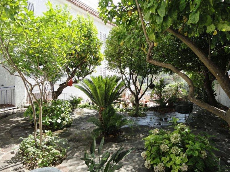 Hotel Candia Casamicciola Terme Ngoại thất bức ảnh